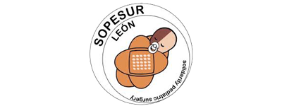 Sopesur León